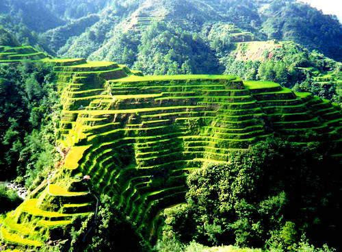 philippines,banaue rice terraces,travel,travel blog